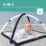 Baby play mat &amp; gym