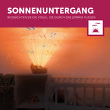 Henry der Igel - Sonnenuntergangsprojektor