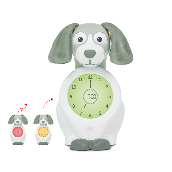 Davy der Hund in Grün - Schlaftrainer, Uhr, Wecker und Nachtlicht