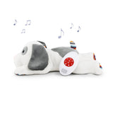 Sound module for the cuddly toys Dex, Liz, Don, Bibi and Coco from ZAZU