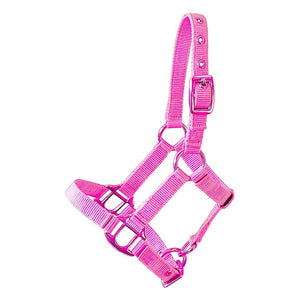 Halter for garden horses in pink 