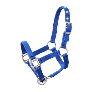 Halter for garden horses in blue 